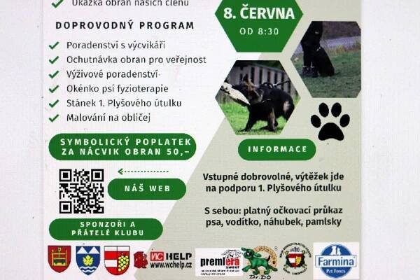 Židenická voříškiáda Kynologický klub 8.6.2024 ❤️ ❤️ | Příběhy
