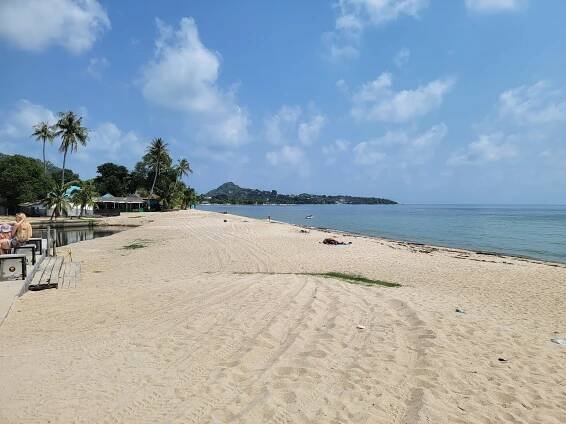 Ko Samui: a beautiful and cozy island for beach holidays and parties – Pattaya-Pages.com