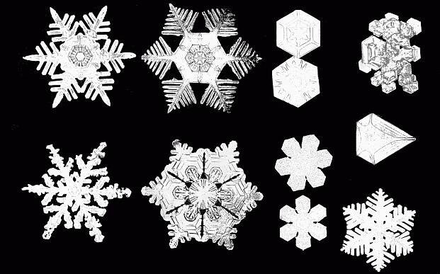 snøkrystall - Wiktionary, the free dictionary