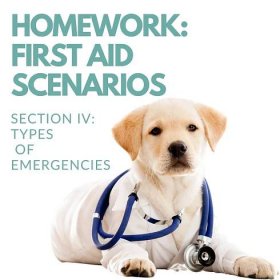 FREE PET FIRST AID class course – Twin Trees 