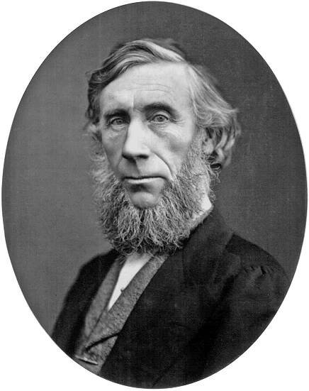 John Tyndall citáty (40 citátů)
