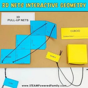 3D Nets Geometry Activity