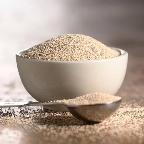 Yeast supplier and yeast importer - hosnaexport