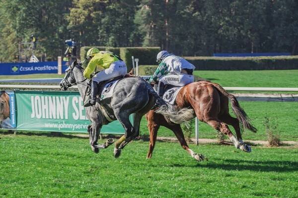 Reportážní fotografování dostihových závodů Velká Pardubická 2018 | de simple