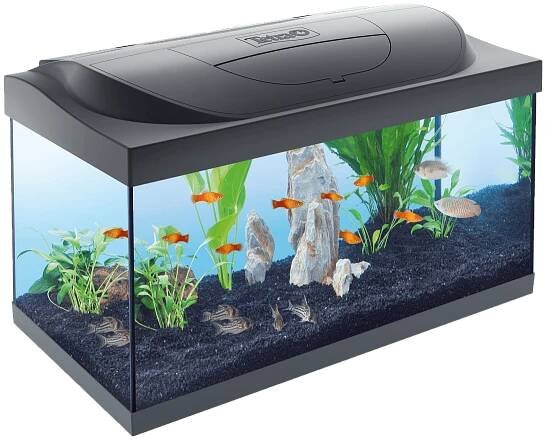 Akvarijní sety Akvárium Tetra Starter Line LED 54l | Super zoo
