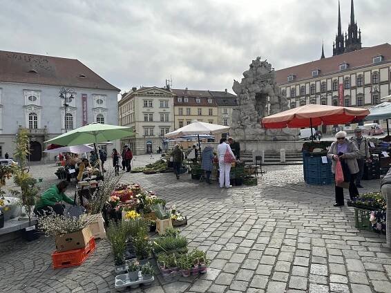 Barevný a rozkvetlý Zelný trh v Brně. Největší venkovní tržiště opět ožívá