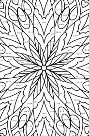 Omalovánka Mandala krásné květiny - Součet a Kreslit pro dospělé