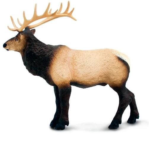 Safari Ltd. Figurka - Wapiti