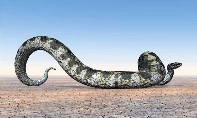 This Is the Biggest Snake Fossil Ever Discovered Picture