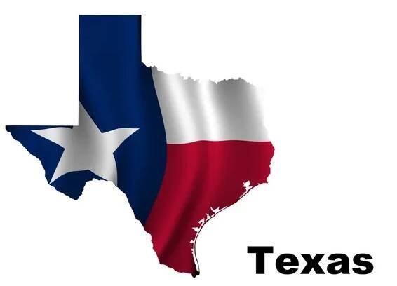 Vlajka státu texas — Stock obrázek