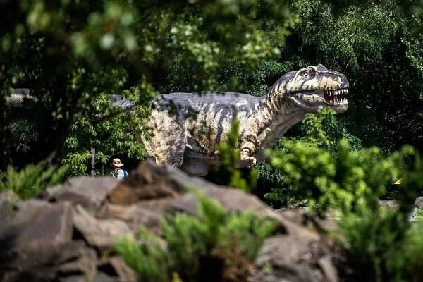 Největší DinoPark v ČR - DinoPark Ostrava v Doubravě na Karvinsku.