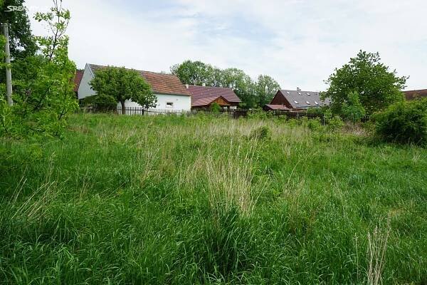 Prodej Pozemek, Čkyně - Horosedly, okres Prachatice