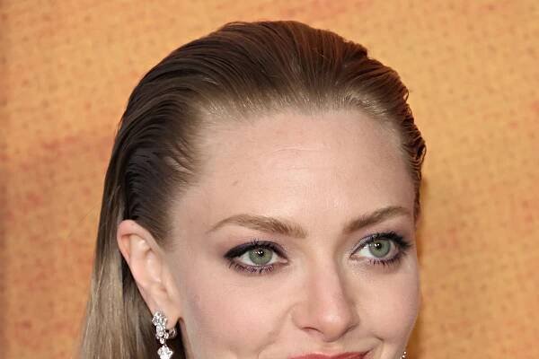 Amanda Seyfried Showed Up to Her Latest Premiere in a Bedazzled Bra Top