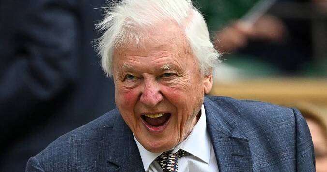 David Attenborough's Net Worth in 2025 Proves That Loving the Planet Pays Off
