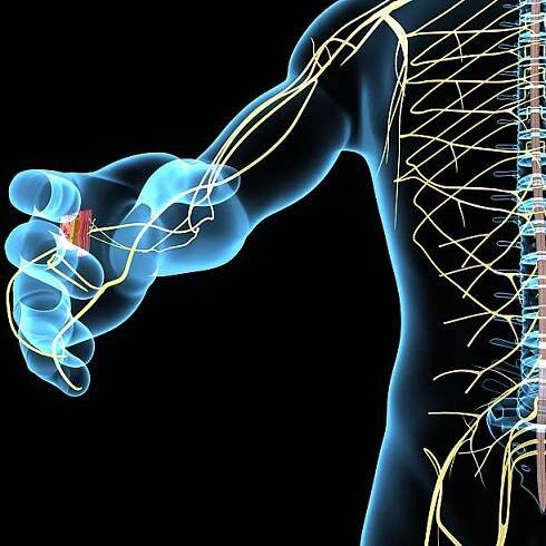 nervová soustava - neuropatie - stock snímky, obrázky a fotky