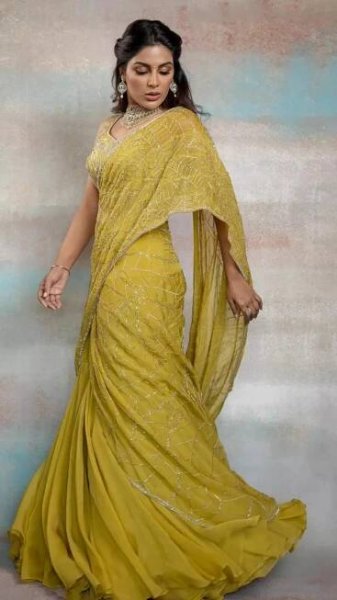 Samyuktha’s Ethereal Saree Elegance You Can’t Miss