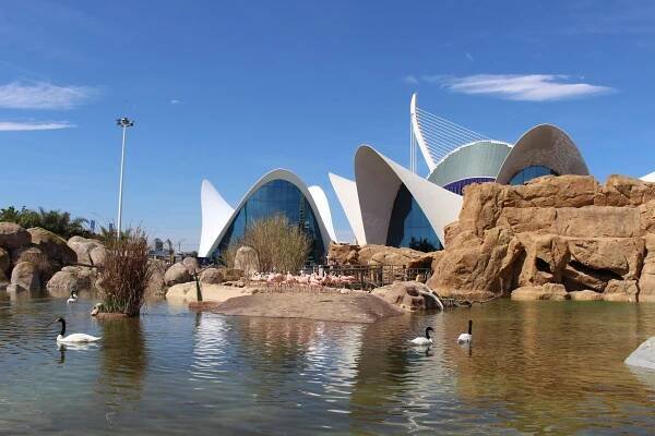Valencia photo