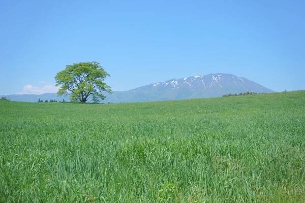Iwate Prefecture
