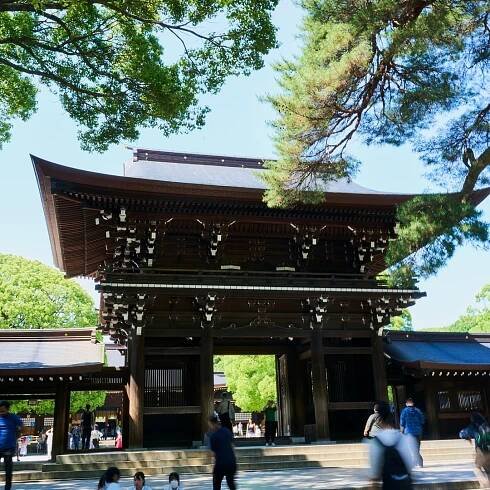 Tokio: Procházka po svatyni Meiji – šintoismus a císařský systém | GetYourGuide