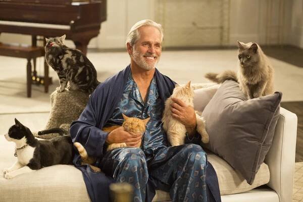 Americká manželka - Eufórie a krize - Z filmu - Gregory Harrison