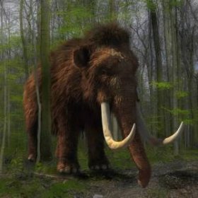 Pomohou nám vzkříšení mamuti zarazit emise uhlíku v Arktidě?