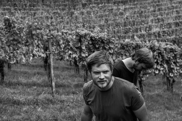 STKPortrait of winemakers Johannes and Michael Gross