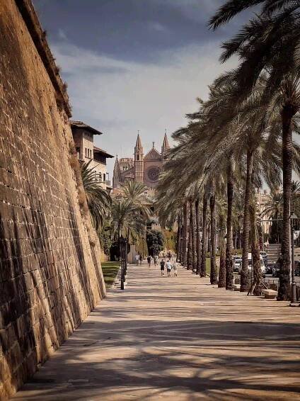 Palma | View Mallorca