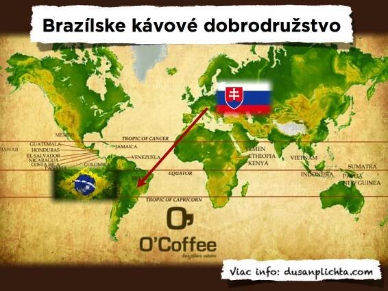 coffee - Dušan Plichta