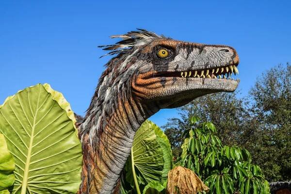 6000X4000 Dinosaur Wallpaper and Background