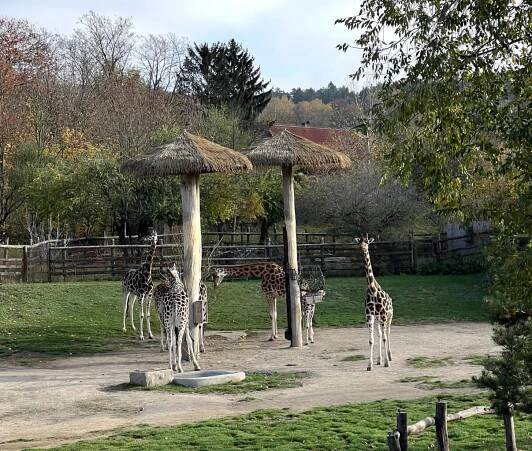Vzdělávací výlet do ZOO Praha 7.B - Oficiální stránky Základní škola Karla Hašlera