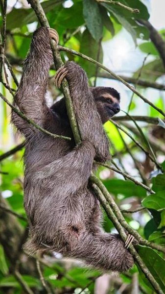 Costa Rica Information - tourscostarica.net