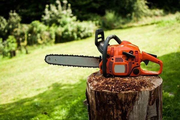 The Best Gas Chainsaws