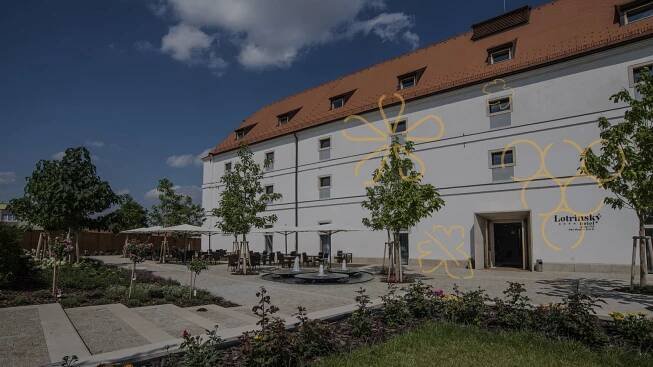 Degustace a gurmánské zážitky — Hotel Lotrinský**** — Velké Pavlovice