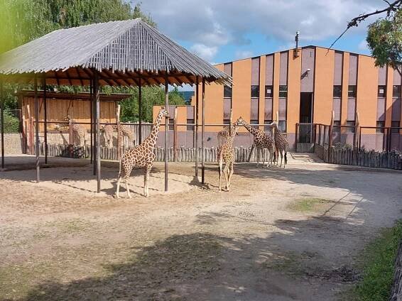 Fotografie uživatele Dafr - Cestolino.cz