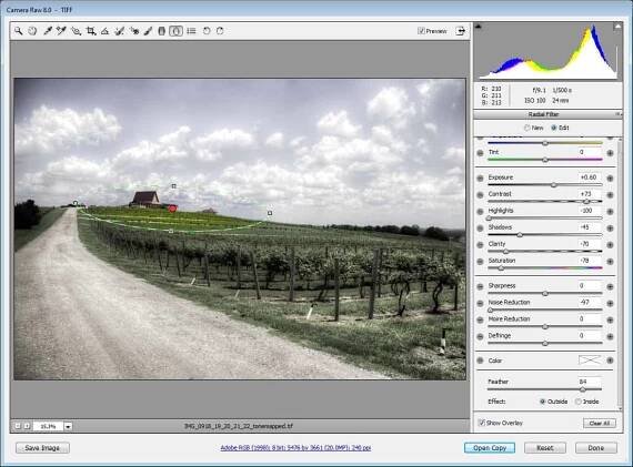 Camera-Raw-Radial
