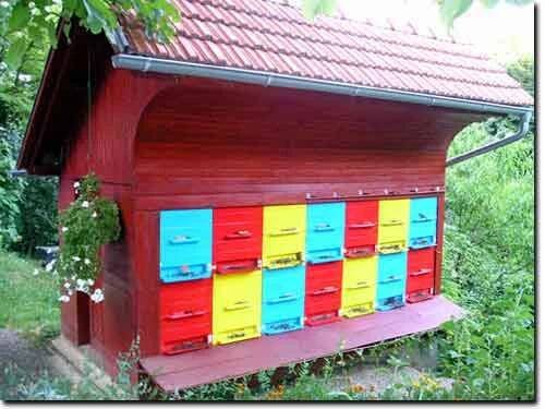 Soubor:AZ hives.jpg – Wikipedie