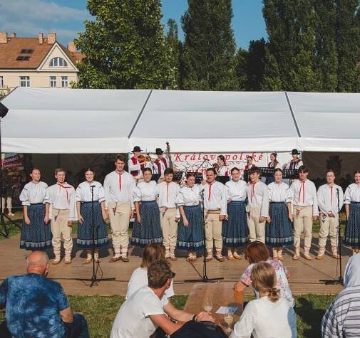 Menší vinobraní lákají na mistrovství ve sběru hroznů, burčákový trojboj i krojované průvody