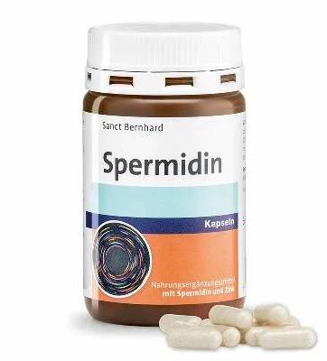 Sanct Bernhard Spermidin