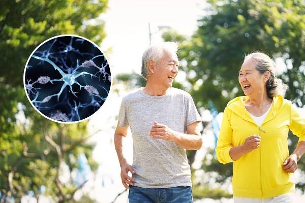 Scientists reveal exercises that may help fight off Alzheimer's
