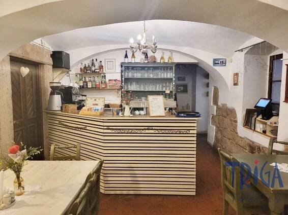 Dvůr Králové n.L. - Pronájem zavedené restaurace