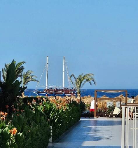 JAZ ELITE AMARA - Updated 2025 Prices & Resort Reviews (Port Ghalib, Egypt)