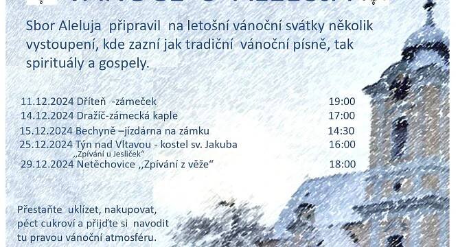 Vánoční koncert pěveckého sboru ALELUJA