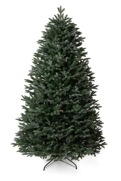 Jedľa Jasenská 3D LUX 240 XXL