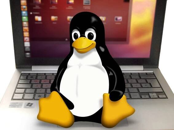 Linux: Das beliebte Open-Source-Betriebssystem