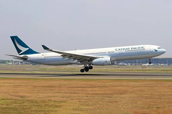 Základová fotografie na téma aerodynamika, ana aerolinky, asie, bezpečnosti letectví, boeing 787, cestování, cestování letadlem