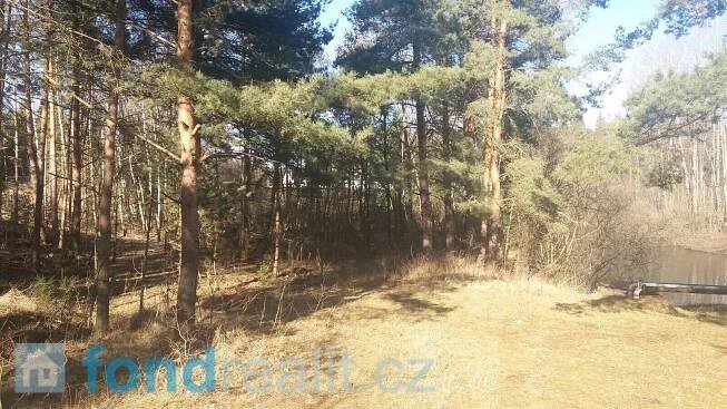 Prodej Pozemek, Nová Ves nad Lužnicí, okres Jindřichův Hradec
