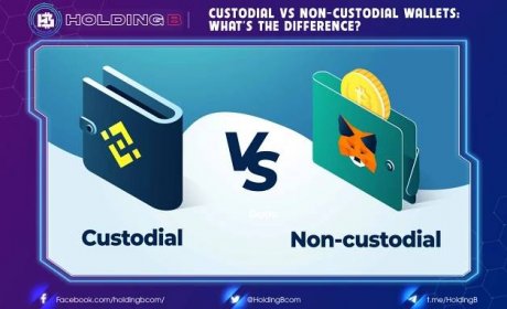 Custodial vs Non-Custodial Wallets: What’s the Difference?