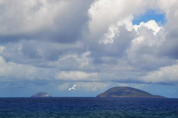 Round Island (Mauritius)