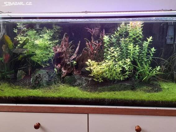 Akvárium 250L s bohatou výbavou