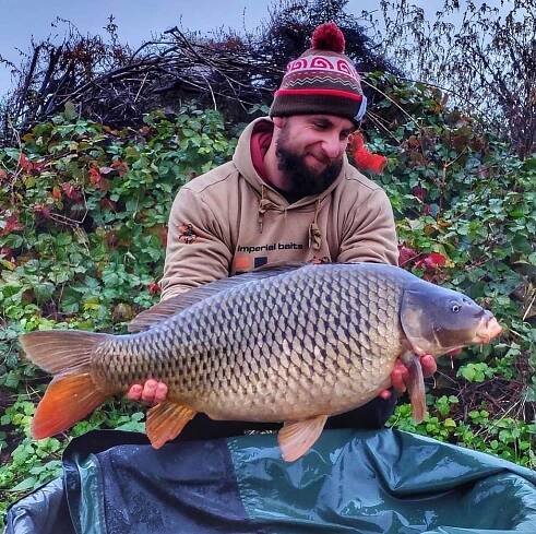 Imperial Baits Hoodie “The Art of Bait” – Buy stylish hoodie for anglers online – Imperial Fishing GmbH 